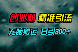 (9875期)视频号纯搬运日引300+创业粉教程!-优优云创网