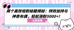 两个高效吸粉秘籍揭秘：特效加持与神奇布偶，轻松涨粉5000+-优优云创网