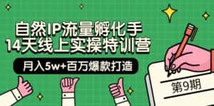 （9881期）自然IP流量孵化手 14天线上实操特训营【第9期】月入5w+百万爆款打造 (74节)-优优云创网