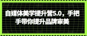 自媒体美学提升营5.0,手把手带你提升品牌审美-优优云创网