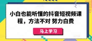小白也能听懂的抖音短视频课程,方法不对 努力白费-优优云创网