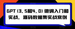 GPT(3.5和4.0)微调入门和实战,源码数据集实战案例-优优云创网