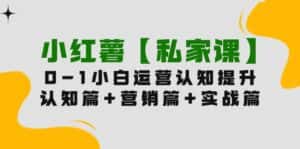 （9910期）小红薯【私家课】0-1玩赚小红书内容营销，认知篇+营销篇+实战篇（11节课）-优优云创网