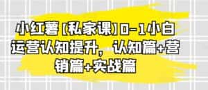 小红薯【私家课】0-1小白运营认知提升，认知篇+营销篇+实战篇-优优云创网
