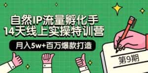 自然IP流量孵化手14天线上实操特训营【第9期】月入5w+百万爆款打造 (74节)-优优云创网