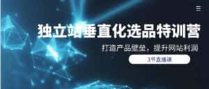 (9925期)独立站-垂直化选品训练营,打造产品壁垒,提升网站利润(3节直播课)-优优云创网