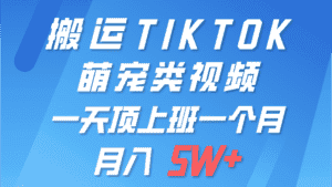 (9931期)一键搬运TIKTOK萌宠类视频 一部手机即可操作 所有平台均可发布 轻松月入5W+-优优云创网