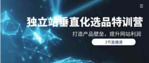 独立站垂直化选品训练营，打造产品壁垒，提升网站利润（3节直播课）-优优云创网