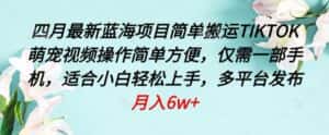 四月最新蓝海项目,简单搬运TIKTOK萌宠视频,操作简单方便,仅需一部手机-优优云创网