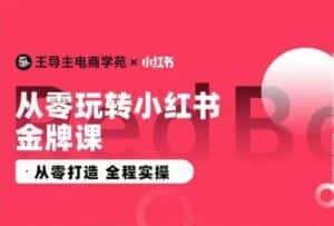 王导主·小红书电商运营实操课,从零打造 全程实操-优优云创网