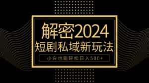 (9951期)10分钟教会你2024玩转短剧私域变现,小白也能轻松日入500+-优优云创网