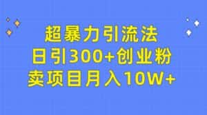 (9954期)超暴力引流法,日引300+创业粉,卖项目月入10W+-优优云创网