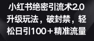 小红书绝密引流术2.0升级玩法,破封禁,轻松日引100+精准流量-优优云创网