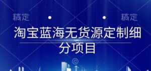 淘宝蓝海无货源定制细分项目，从0到起店实操全流程-优优云创网