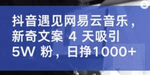 抖音遇见网易云音乐,新奇文案 4 天吸引 5W 粉,日挣1000+-优优云创网