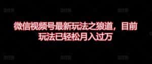 微信视频号最新玩法之狼道,目前玩法已轻松月入过万-优优云创网