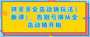 拼多多全店动销玩法【新课】,告别亏损从全店动销开始-优优云创网
