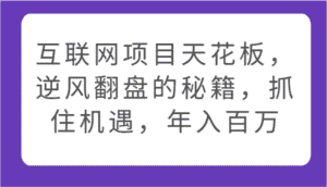 互联网项目天花板,逆风翻盘的秘籍,抓住机遇,年入百万-优优云创网