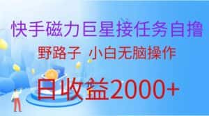 (9985期)(蓝海项目)快手磁力巨星接任务自撸,野路子,小白无脑操作日入2000+-优优云创网