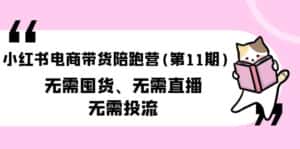 (9996期)小红书电商带货陪跑营(第11期)无需囤货、无需直播、无需投流(送往期10套)-优优云创网