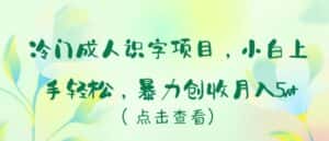 冷门成人识字项目,小白上手轻松,暴力创收月入5w+-优优云创网