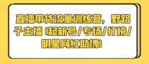 直播带货流量训练营，野路子主播(起新号/专场/打榜/明星网红助博)-优优云创网