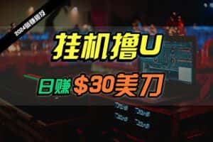 (10013期)日赚30美刀,2024最新海外挂机撸U内部项目,全程无人值守,可批量放大-优优云创网