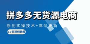 （10015期）拼多多无货源电商，原创实操技术+高阶更新（16节视频教程）-优优云创网