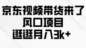 (10025期)京东短视频带货来了,风口项目,逛逛月入3k+-优优云创网