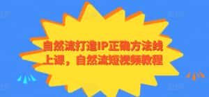 自然流打造IP正确方法线上课,自然流短视频教程-优优云创网