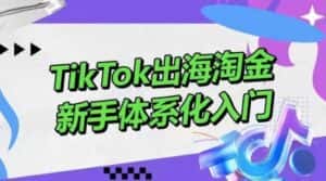 TikTok出海淘金,新手体系化入门,零基础快速入门,掌握短视频、直播带货等引流到变现的知识-优优云创网