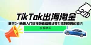 (10035期)TikTok-出海淘金,新手0-1快速入门短视频直播带货等引流到变现的知识-优优云创网