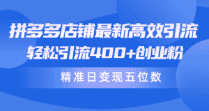 (10041期)拼多多店铺最新高效引流术,轻松引流400+创业粉,精准日变现五位数!-优优云创网