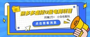 拼多多虚拟U盘电商红利项目:月赚2万+,新手小白也能玩-优优云创网