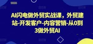 AI闪电做外贸实战课,外贸建站-开发客户-内容营销-从0到3做外贸AI-优优云创网
