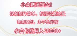 小众赛道掘金,视频制作简单,轻松引爆流量,条条原创,多平台发布-优优云创网