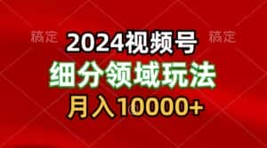 2024视频号分成计划细分领域玩法,每天5分钟,月入1W+-优优云创网