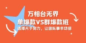 (10065期)万相台无界-单爆款VS群爆款班:选择大于努力,让团队事半功倍(16节课)-优优云创网