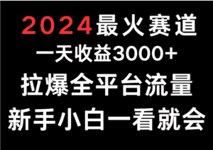 2024最火赛道，一天收一3000+.拉爆全平台流量，新手小白一看就会-优优云创网