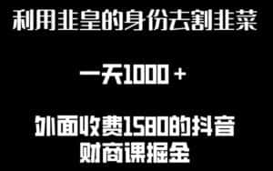 利用非皇的身份去割韭菜,一天1000+(附详细资源)-优优云创网