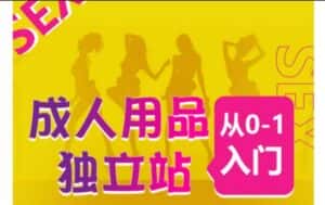成人用品独立站从0-1入门,成品独立站运营全流程教学,七大好卖成品独立站推荐-优优云创网