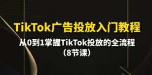 (10085期)TikTok广告投放入门教程,从0到1掌握TikTok投放的全流程(8节课)-优优云创网