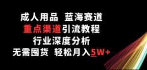 成人用品,蓝海赛道,重点渠道引流教程,行业深度分析,无需囤货,轻松月入5W+-优优云创网