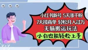 小红书影视泥巴追剧5天涨千粉,7天接商单,轻松月入过万,无脑搬运玩法-优优云创网
