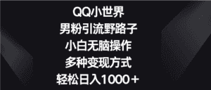 QQ小世界男粉引流野路子，小白无脑操作，多种变现方式轻松日入1000＋-优优云创网