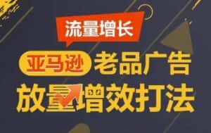 流量增长 亚马逊老品广告放量增效打法,短期内广告销量翻倍-优优云创网