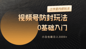 (10107期)2024视频号升级防封玩法,零基础入门,小白也能日入3000+-优优云创网