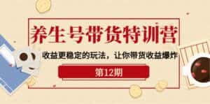 (10110期)养生号带货特训营【12期】收益更稳定的玩法,让你带货收益爆炸-9节直播课-优优云创网