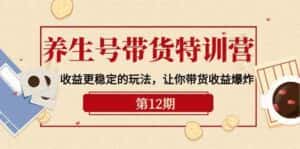 养生号带货特训营【12期】收益更稳定的玩法,让你带货收益爆炸(9节直播课)-优优云创网