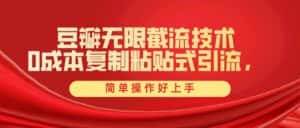 (10134期)豆瓣无限截流创业粉,一键操作,卷死同行,简单操作好上手附赠全套工具-优优云创网
